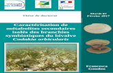 Caractérisation de métabolites secondaires isolés des branchies …calamar.univ-ag.fr/mangroveSAE/Documents/Th%E8se%20... · 2018. 9. 14. · (merci pour ton grand investissement),