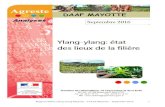 Rapport filière ylang-ylang Mayotte – DAAF Mayotte – Septembre … · 2017. 2. 13. · Rapport filière ylang-ylang Mayotte – DAAF Mayotte – Septembre 2016 6 1. Connaissance