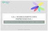 La « marguerite des impressions » de Marc Prouchet · 2019. 1. 15. · La pratique enseignante, son sens et ses enjeux: préparation à l'épreuve orale d'admission du concours