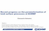Recent progress on the parameterization of land surface ... · Slide 2 SRNWP land meeting, ECMWF 5/9/2011 -G. Balsamo Role of land surface at ECMWF ECMWF model(s) and resolutions