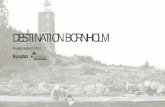 DESTINATION BORNHOLM€¦ · Langt de fleste af de besøgende vælger Bornholm som destination for at få naturoplevelser (54%). 40% har adgang til sommerhus på Bornholm. Turister