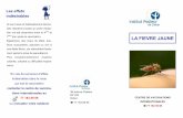LA FIEVRE JAUNE - pasteur.sn€¦ · 08/08/2012  · dies hémorragi-ques conduisant dans 20 à 50% des cas au décès. Déficits immunitaires acquis ou congénitaux Patients infectés