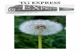 TG EPRESS · 2 Vabandame küljendamisega ekt kinud võimalike poolitusvigade pärast! 3 TG Expressi toimetus 2013/2014 Peatoimetaja Mai-Liis Volmar 12.R Toimetus Grete Kirpu 3.B Eleri