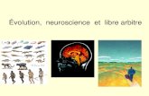 Évolution, neuroscience et libre arbitrelecerveau.mcgill.ca/flash/pop/pop_pres/presentation...Neurone pyramidal du cortex moteur une des plus anciennes techniques de coloration, la