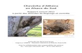 Chevêche d’Athéna · Chevêche d’Athéna dans le Sud de l’Alsace - Rapport 2012 Page 7 Chevêche d’Athena – ATHENE NOCTUA Survie des jeunes et distances parcourues lors