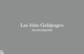 Las Islas Galápagos · Las Islas Galápagos Acomodación. M/Y Stella Maris, yate de lujo en las Islas Galápagos, para 14 pasajeros. Itinerarios de 7 noches. ... Isla de Santa Cruz