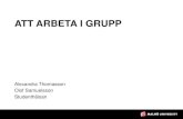 ATT ARBETA I GRUPP¤l… · DAGENS AGENDA •Varför arbeta i grupp •Gruppens faser •Roller i gruppen •Gemenskap och inkludering •Gruppkontrakt •Feedback •Summering