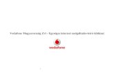 Vodafone Magyarország Zrt - Egységes internet szolgáltatás ... · Kiegészítő lehetőségek, feltételek Web-böngészés igénybe vehető VoIP nem vehető igénybe PluszAdat