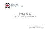 INTRODUCCION ANATOMIA PATOLOGICA UNABveterinaria.unab.cl/wp...ANATOMIA-PATOLOGICA-UNAB... · Microsoft PowerPoint - INTRODUCCION ANATOMIA PATOLOGICA UNAB Author: cargonzalez Created