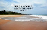 SRÍ LANKAsrilanka-pozemky.cz/assets/sleeping-elephant-resort.pdf · Proč právě Srí lanka? SL vás ohromí svou přírodní a kulturní rozmanitostí. V překladu znamená „královsky