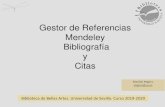 Gestor de Referencias Mendeley Bibliografía y Citasbib.us.es/bellasartes/sites/bib3.us.es.bellasartes/... · Cómo crear una bibliografía Seleccionamos las referencias en Mendeley