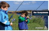 Our Ecosystems - es.govt.nz · Our Ecosystems: How healthy is the life in our water and our freshwater ecosystems? 5 At a glance ˝ ˛ ˇ is one of four reports which together make