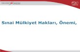 Sınai Mülkiyet Hakları, Önemi,gyavuzcan.com/dosyalar/35.pdfTürk Patent Enstitüsü'nün Görevleri II • Türkiye'yi sınai mülkiyet hakları konusunda uluslararası kuruluşlar