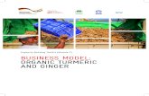 Capacity Building Toolkit (Module 7) BUSINESS MODEL: ORGANIC … · 2020. 3. 19. · Organic spices Organic spices have gained a considerable amount of importance in the past decade