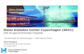 Steno Diabetes Center Copenhagen (SDCC) · •Brugerinvolvering •Visionen bag SDCC •SDCC byggeriet ved Herlev Hospital •Dialog og erfaringsudveksling . 8 Nyt samarbejde mellem