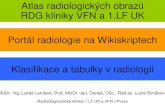 Atlas radiologických obrazů RDG kliniky VFN a 1.LF UK ...3000 3500 4000 0 , 2 4 6 8 1 , 2 , 4 6 8 2 , 2 , 4 6 8 3 , 2 , 4 6 8 rozlišení obrazovky (Mpix) ROZL IŠ ENÍ OBRAZOVKY.