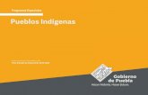 Pueblos Indígenas - ippi.puebla.gob.mxippi.puebla.gob.mx/...Especial-de-Pueblos-Indigenas-1-1-comprimido.… · Programas Especiales Pueblos Indígenas 3 MARCO JURÍDICO Constitución