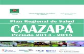 Plan Regional de Salud Caazapa 2013-2015 · Plan Regional de Salud, Departamento de Caazapá 2013/2015 5 PRESENTACIÓN El Consejo Regional de Salud de Caazapá en cumplimiento de