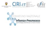 Maria Rita Castrucci - unige.it...Cambio del ceppo vaccinale per A(H1N1)pdm09 • Maggior parte dei recentiA(H1N1)pdm09 appartengono alla clade 6B - subclade 6B.1 predomina nel mondo