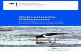 Weltnaturerbe Wattenmeer - Trilaterale … · 2018. 6. 1. · Weltnaturerbe Wattenmeer - Trilaterale Wattenmeerzusammenarbeit Deutsche Präsidentschaft 2018 bis 2022 Author Bundesministerium