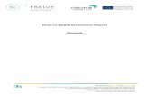 Final, In-Depth Assessment Report Slovenia · 2018. 3. 8. · CRE:HUB Anenx 1. – Annex 2. | 1 / 22 A projekt az Interreg Europe Programból, az Európai Regionális Fejlesztési