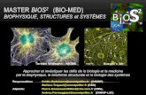MASTER BIOS2 (BIO-MED) · 2019. 6. 24. · MASTER BIOS2 BIOPHYSIQUE, STRUCTURES et SYSTÈMES • Des nouveaux approches à la biologie et à la médicine: dés techniques expérimentales