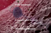 Autoimmune diseases. - USMF · Autoimmune diseases. I. Microspecimens: №125.Periarteritis nodosa. (H-E. stain). Indications: 1. Thickened arterial wall. 2. Diffuse lymphocytic and