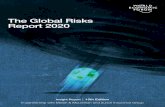 The Global Risks Report 2020...Dec 01, 2019  · Global Risks Reports. Note: Global risks may not be strictly comparable across years, as definitions and the set of global risks have