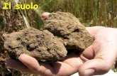 Il suolo - Dipartimento Agraria · Il suolo è il materiale non consolidato, di natura minerale e/o organica, presente sulla superficie terrestre, che ha subìto e manifesta gli effetti