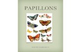 PAPILLONS - LeWebPédagogiquelewebpedagogique.com/cm1cm2crozon/files/2014/05/papillon.pdf · la forme est appelée : papillon, sa larve est nommée : chenille. Ils se caractérisent