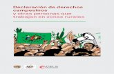 Declaración de derechos campesinos y otras personas que … · 2020. 4. 15. · apropiación del agua. En 2008, La Vía Campesina aprobó la Carta de los Derechos de las Campesinas