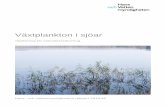 Växtplankton i sjöar - diva-portal.se1371831/FULLTEXT01.pdf · Växtplankton i sjöar vägledning för statusklassificering Havs- och vattenmyndighetens rapport 2018:39