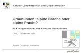 Graubünden: alpine Brache oder alpine Pracht?€¦ · Aufgrund der dezentralen Produktionsstruktur und der engen Verflechtung mit den vor- und nachgelagerten Betrieben leistet die