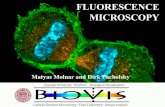 FLUORESCENCE MICROSCOPY - Uppsala University · For Fluorescence microscopy use B&W cameras (with appropriate filtercubes) 26 . Publishing photos • Use the highest bit depth if
