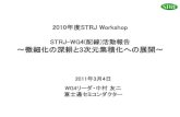 2010 STRJ Workshop STRJ-WG4(配線 活動報告 ～微細化の深 …semicon.jeita.or.jp/STRJ/STRJ/2010/10_haisen.pdfPIDS（およびFEP）から、全寄生抵抗（R total）の5%を配線側コンタクト抵抗