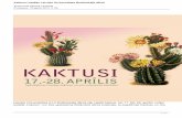 Kaktusu izstāde Latvijas Universitātes Botāniskajā dārzā · 2020. 9. 18. · Kaktusu izstāde Latvijas Universitātes Botāniskajā dārzā Autors Dita Kļaviņa-Lauberte Pirmdiena,