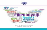Fibromiyalji Nedir? - TFTR · Fibromiyalji Nedir? 3. Bilişsel dalgalanmalar; Dikkati toplamada, işe konsantre olmakta zorlanılır. “Fibro-fog” olarak da tanımlanan bu durum,
