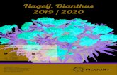 Nagelj, Dianthus 2019 / 2020 · 2019. 4. 15. · 9101823 Dianthus Bondia Lavender shades 37-4 100 9101825 Dianthus Bondia Purple 37-4 100 9101826 Dianthus Bondia Rose 37-4 100 9101827