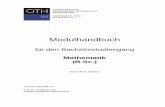Mathematik (B.Sc.) - OTH Regensburg€¦ · Die Einteilung dieses Modulhandbuchs folgt der Anlage 1 der Studien- und Prüfungsordnung für den Bachelorstudiengang Mathematik an der