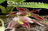 Orchidar ium - Orquimaniaco.esorquimaniaco.es/wp-content/uploads/2015/07/orchidarium... · 2019. 4. 17. · Revista trimestral del Orquidario de Estepona ISSN 2386-6497 Nº3 Año