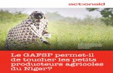 CRÉDIT: ACTIONAID Le GAFSP permet-il de toucher les petits ... · 1 Le GAFSP permet-il de toucher les petits producteurs agricoles du Niger? RAHAMOU HASSOUMI PRODUIT DU HENNÉ ET
