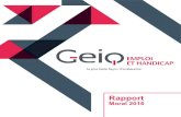 Rapport Moral 20167 - Geiq Emploi et Handicap · 2016 UNE EXPERTISE HANDICAP L’offre du GEIQ est ouverte à l’ensemble des besoins en recrutement des entreprises. Les métiers