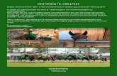 INVITATION TIL GRILLFEST - Connemara pony til grillfest 2019.pdf · INVITATION TIL GRILLFEST Region Jylland inviterer igen i år alle Connemarafolk til grillfest på Landsskuet i