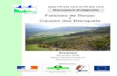 Falaises de Barjac Causse des Blanquets€¦ · Document d’Objectifs « Causse des Blanquets » & « Falaises de Barjac » Annexe A3 4 Comité départemental de spéléologie :