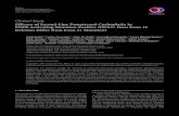 ClinicalStudy - Hindawi Publishing Corporationdownloads.hindawi.com/archive/2017/8196434.pdf · ChemotherapyResearchandPractice 3 Exon 19-censored Exon 21-censored Exon 19 Exon 21