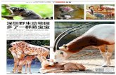 深圳野生动物园 多了一群萌宝宝 - wb.sznews.comwb.sznews.com/attachment/pdf/201804/27/c141fe07-61... · 野生动物园里的动物们也迎来了繁殖高峰期，扎堆生育下一代。“宝妈宝