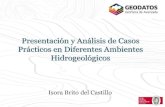 Presentación y Análisis de Casos Prácticos en Diferentes ......Presentación y Análisis de Casos Prácticos en Diferentes Ambientes Hidrogeológicos Isora Brito del Castillo .