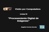 “Procesamiento Digital de Imágenes”sagitario.itmorelia.edu.mx/~rogelio/vision_por_computadora_03... · Visión por Computadora Unidad III “Procesamiento Digital de Imágenes”