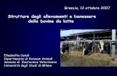 Strutture degli allevamenti e benessere delle bovine da latte Benessere... · 2009. 3. 12. · Strutture degli allevamenti e benessere delle bovine da latte Elisabetta Canali Dipartimento