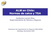 ALM en Chile: Normas de calce y TSA · MUS$ % MUS$ % MUS$ % MUS$ % MUS$ % MUS$ % Instrumentos del Estado 941 37,0% 2.283 38,9% 3.769 38,2% 3.487 28,5% 2.602 17,9% 3.135 12,3% Letras